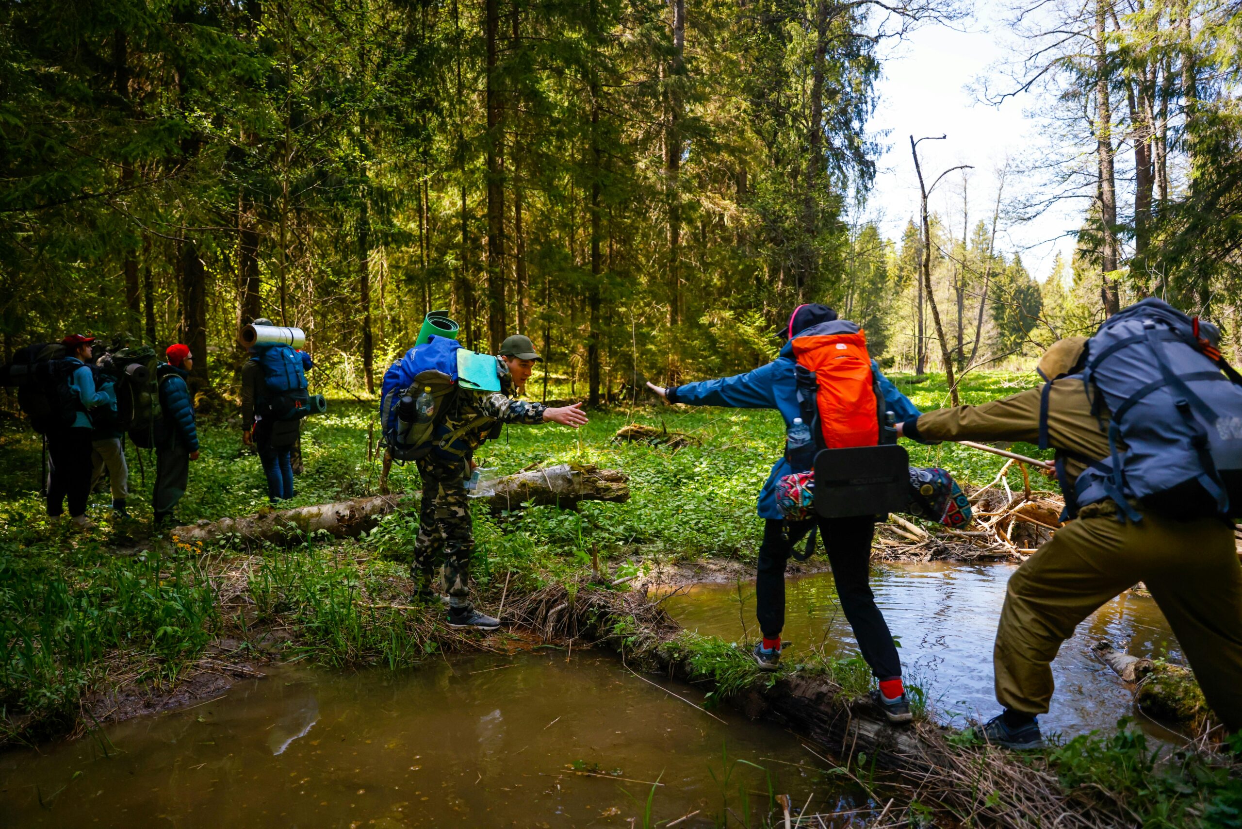 pexels-dimafromcrimea-34988609